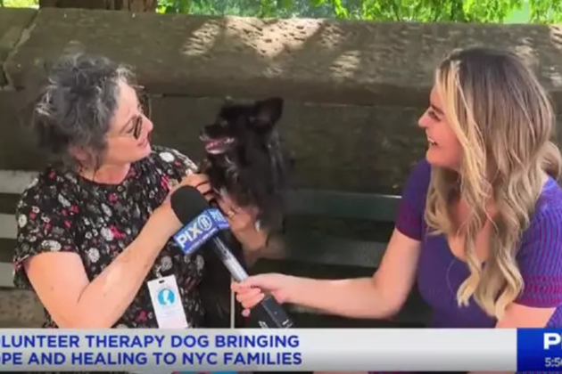 Hospice dog and owner being interviewed by PIX 11
